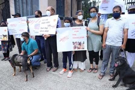 Protest against Animal Cruelty